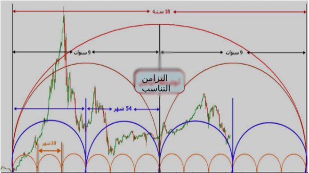 قواعد التزامن والتناسب في الدورات الزمنية: ميول الموجات للوصول للقاع معاً